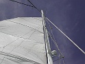 DSCN0808