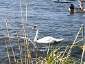 IMG_1594