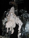 IMG_2425
