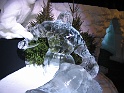 IMG_2439