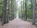 2010 Helendoorn