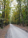P1030978