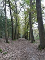 P1030981