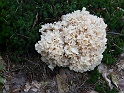 P1030983