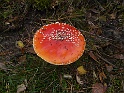 P1030989