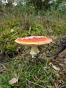 P1030990