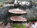 P1030996