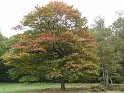P1030999