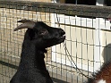 P1040008