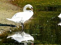 P1040019