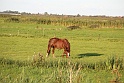 IMG_0107