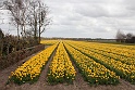 IMG_4229