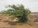 PC140278