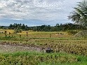 IMG_0132