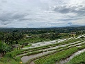 IMG_0136