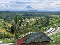 IMG_0139