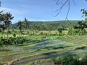 IMG_0261