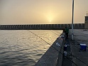 IMG_7738