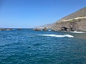 IMG_7786