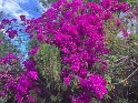 IMG_7864