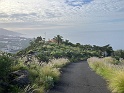 IMG_7865