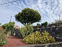 IMG_7876
