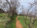 IMG_7877