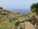 IMG_7880