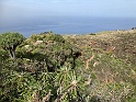 IMG_7883