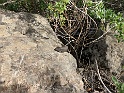 IMG_7885