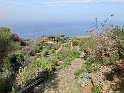 IMG_7886