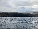 IMG_7929