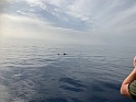 IMG_7933