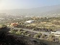 IMG_7955
