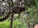 IMG_0999