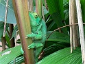 IMG_1026