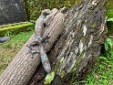 IMG_1040