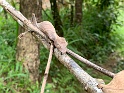 IMG_1042