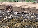 IMG_1056