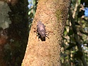 IMG_1104