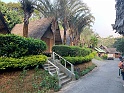 IMG_1154