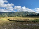 IMG_1162