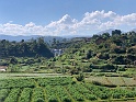 IMG_1293