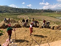 IMG_1294