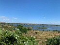 IMG_1344