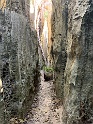IMG_1471