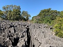 IMG_1472
