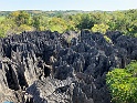 IMG_1474