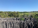 IMG_1482