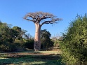 IMG_1575